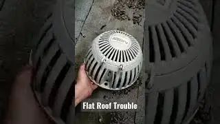 Flat Roof Trouble #flatroofing  #flatroof #roofrepair #roofer #roofingcontractor #roof #construction