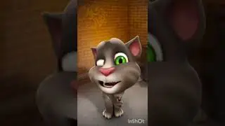 Tomfighter 🤗😗🤑😗🤑😗😑😗#tomfighter #talkingtom #catdance  #meow #shorts