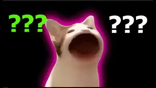 11 Pop Cat sound variations in 40 seconds