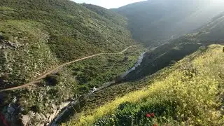 Offroad Israel. Nahal Dishon.  27/02/2021