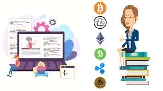 Crypto Learn Hub Overview - Online cryptocurrency learning platform