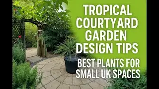 Small Space, Big Tropics | Courtyard Garden Ideas & Plant Picks