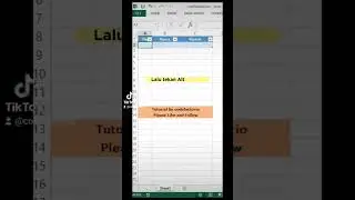 Input table with simple form #excel #exceltips #codefactorio