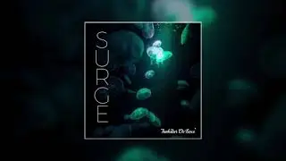 Funkstar De Luxe - Surge