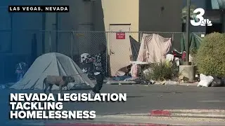 Legislation tackling homelessness in different ways