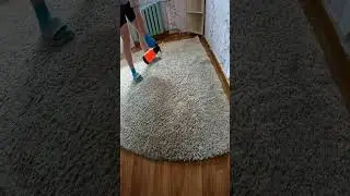 Химчистка ковра с длинным ворсом #выезднаяхимчистка #diy #cleaning #химчисткаковра#химчисткавсегеже