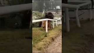 temporal enero 2026 cicl&oacute;n extratropical  Uruguay 🇺🇾