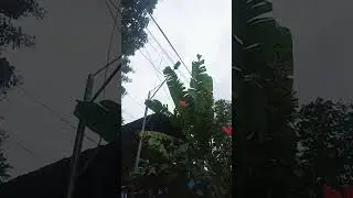 install solar powered LED street lights
