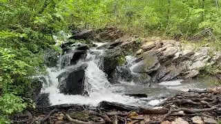 First Day Hike Jogloma Scott Lake
