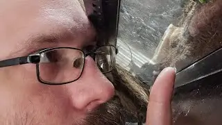 A Breif Video About Substrate. 