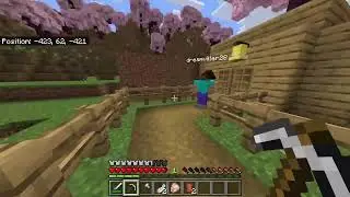 Minecraft survival RO