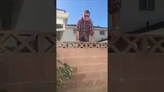 Crazy neighbor freaks out over a plant