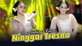 Lintang Kairo - Ninggal Tresno (Official Music Video)