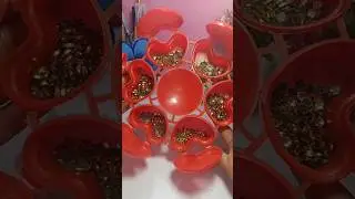 Meesho Unboxing for Craft Lover's 😱🛒🛍️#explore #art #craft #viral #shorts #unboxing #onlineshopping