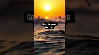 Electrifying Good Morning My Love Text Messages #shortsfeed #goodmorning