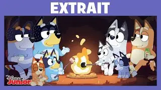 Bluey - Extrait : Camping
