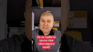 De ce copilul se opune chiar cand regula e buna?