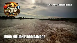 Kruger Floods 2026: Camps and roads update