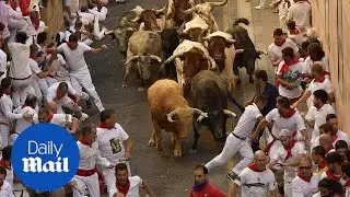 Three gored during running of the bulls in Spain - Daily Mail