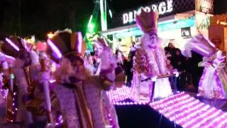 Aalst Carnaval 2013 - Bedesterd
