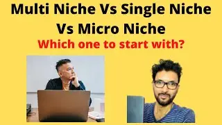 Multi Niche Vs Single Niche Vs Micro Niche.