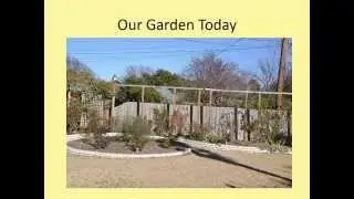 Rose Rosette Disease Control
