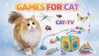 CAT GAMES 🐾 3D Cat TV Experience &ndash; Bird Chase &bull; Bee Buzz &bull; Insect Swarm! 😺 | 6 Hours 4K60FPS