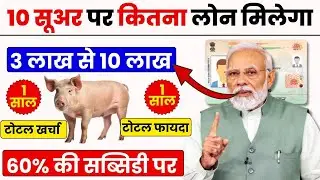 10 सूअर पर कितना लोन मिलेगा? suar Palan Loan 2025 | Pig Farming Loan kaise le |