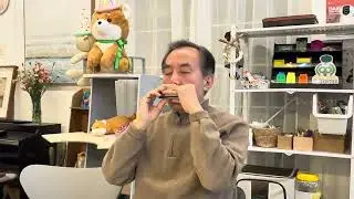 화모니카 2026년 1월 6일