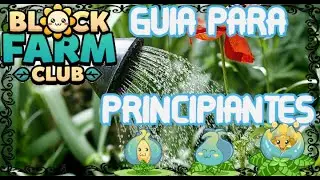 Como hacer las misiones diarias en block farm club (principiantes)