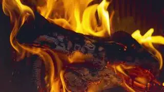 ASMR Fireplace Sounds for Sleep & TINGLES (11 Hours) | Real Wood Cracking Noise for Relaxation