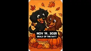Amazon Deals Nov 19, 2025 #foryoupage #fy #fyp #amazon #promocodes #amazonpromocodes