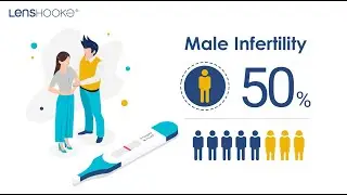 2023 LensHooke Male Infertility Total Solution