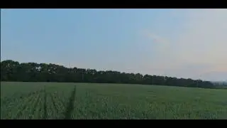 Tour to a beautiful place, #viral #video #foryou #nature #tour #shangla #3dworld #birds #birdsong