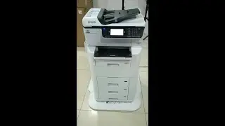Epson WorkForce Pro WF-C878R Printers: Setting Up & Using Scan to PC