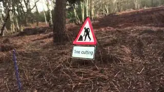 Wildlife Destruction!
