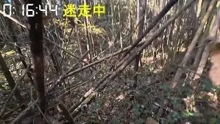 南関町15kmジョグ風景／肥猪の竹やぶで迷走【2025.12.02】