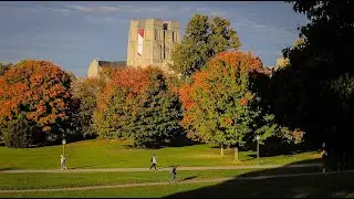 Why do leaves change color in Autumn?