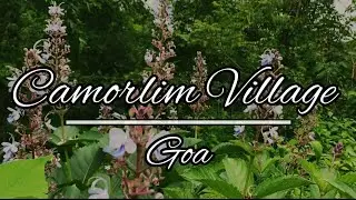 Village of Camorlim |Salcette-Goa|   |Exploring it's beauty|