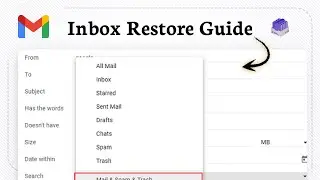 How to restore deleted emails in Gmail (Recovery Steps)