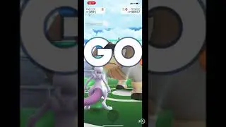 PG Raid:Terrakion Duo by Mewtwo teams;Close Combat;285S;Weather boosted Fighting.