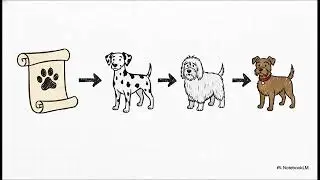 Intermediate Python | Lesson 8: Intro to Object-Oriented Programming (OOP)