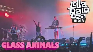 @GlassAnimals Lollapalooza India 25.  #lollapalooza #glassanimals