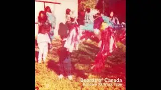 Boards of Canada - A13