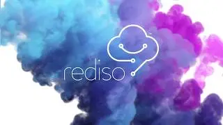 Rediso &ndash; Driving digitalization at BASF!