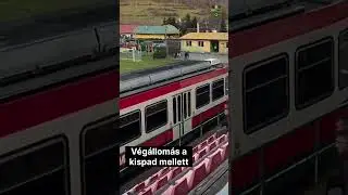 V&eacute;g&aacute;llom&aacute;s a kispad mellett