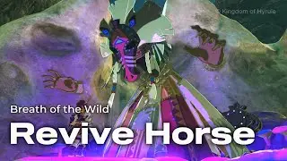 Revive Your Horse at Horse God Lake in Zelda: Breath of the Wild!