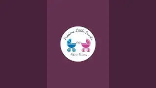 Precious Little Lambs Reborn Nursery is live!