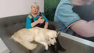 Dogs for Disabled new program
