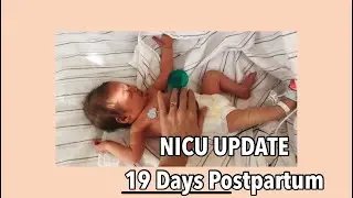 19 days postpartum/NICU update (+ tips for NICU parents)